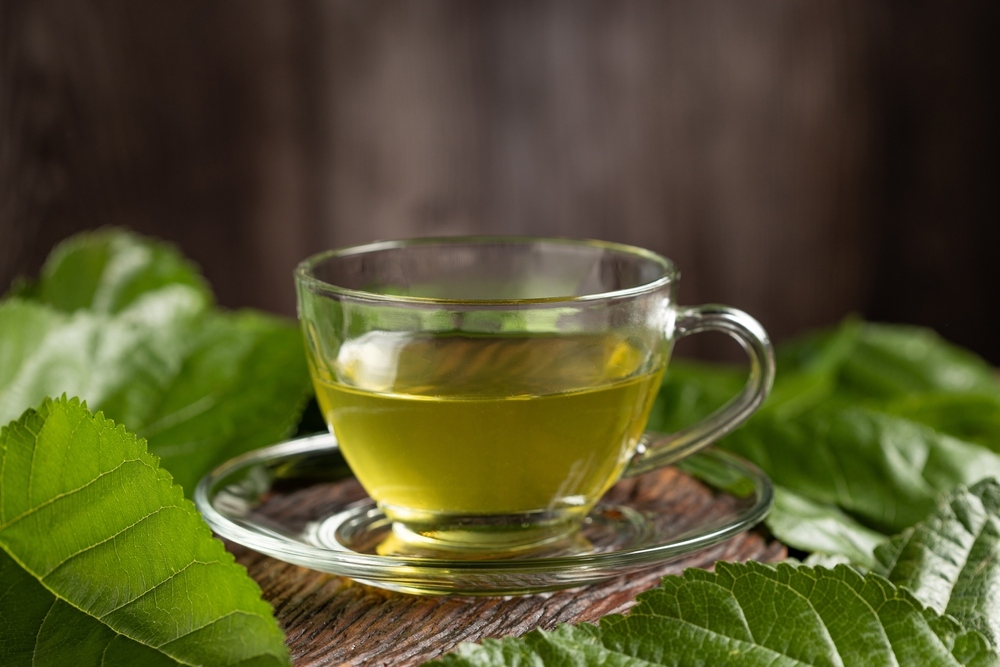 uống nước lá gì để giảm mỡ máu