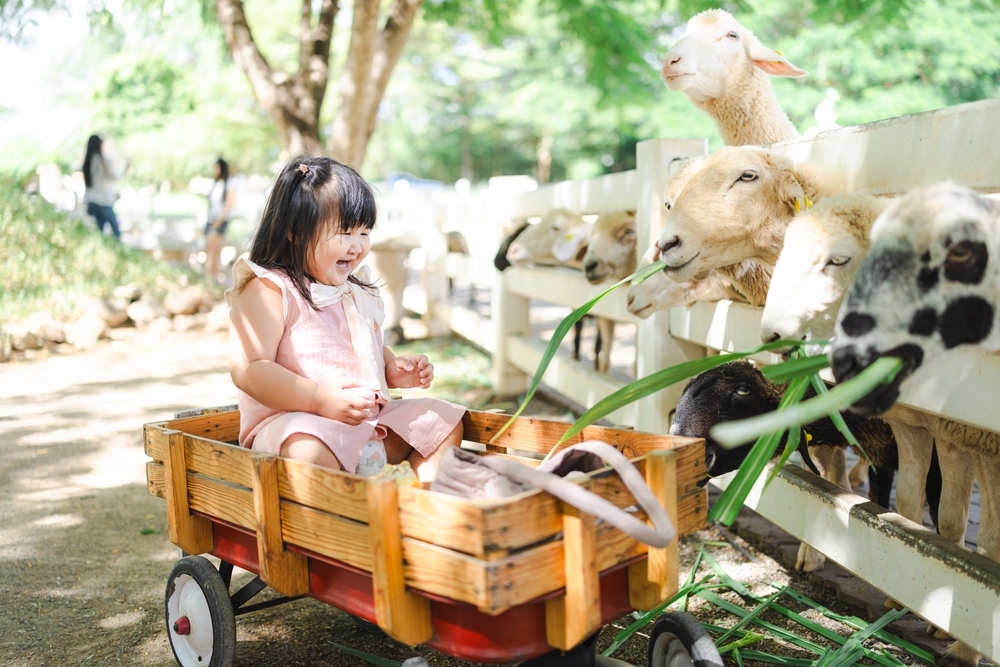 Các gợi ý hoạt động để dạy các con vật cho bé thông minh