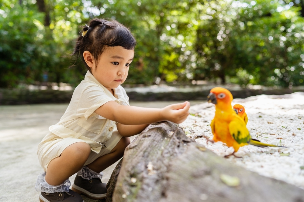nâng cao trí tưởng tượng phong phú​ cho trẻ bằng cách khám phá thiên nhiên