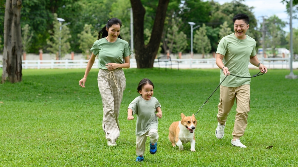 gia đình hoàn hảo​ là gì