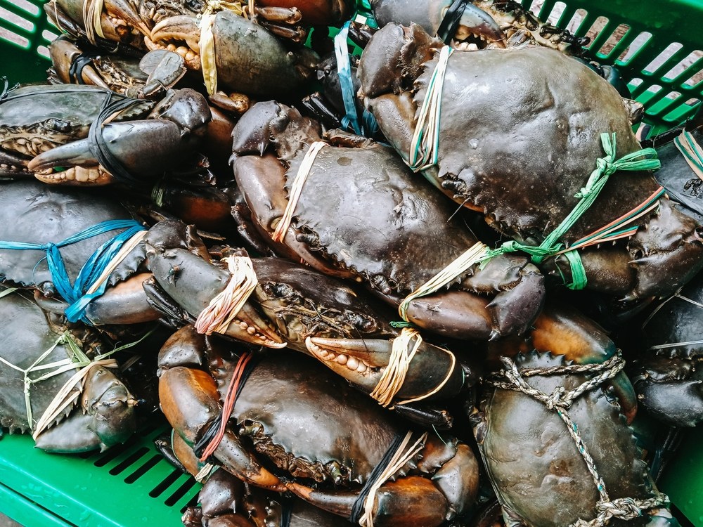 cách làm chả cua hấp​ và nguyên nhân khiến chả cua bị tanh và cách nhận biết