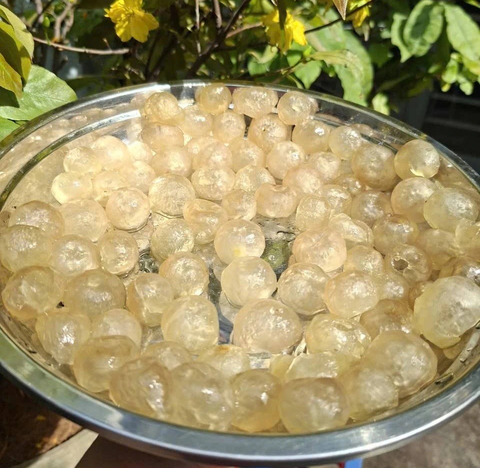 cách làm mứt cà pháo hấp dẫn cách làm mứt cà pháo