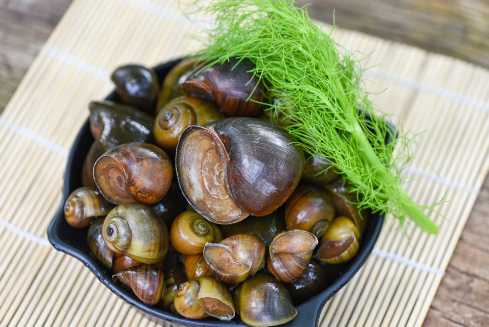 cách nấu ốc chuối đậu