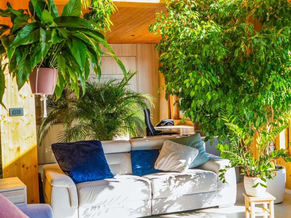 7 sai lầm khi tạo không gian xanh khiến nhà bạn thêm bí bách