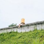 vùng an toàn là gì​