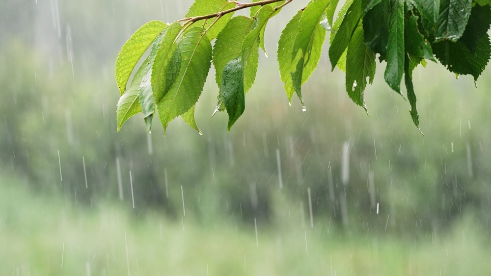 tiếng ồn trắng​ là gì