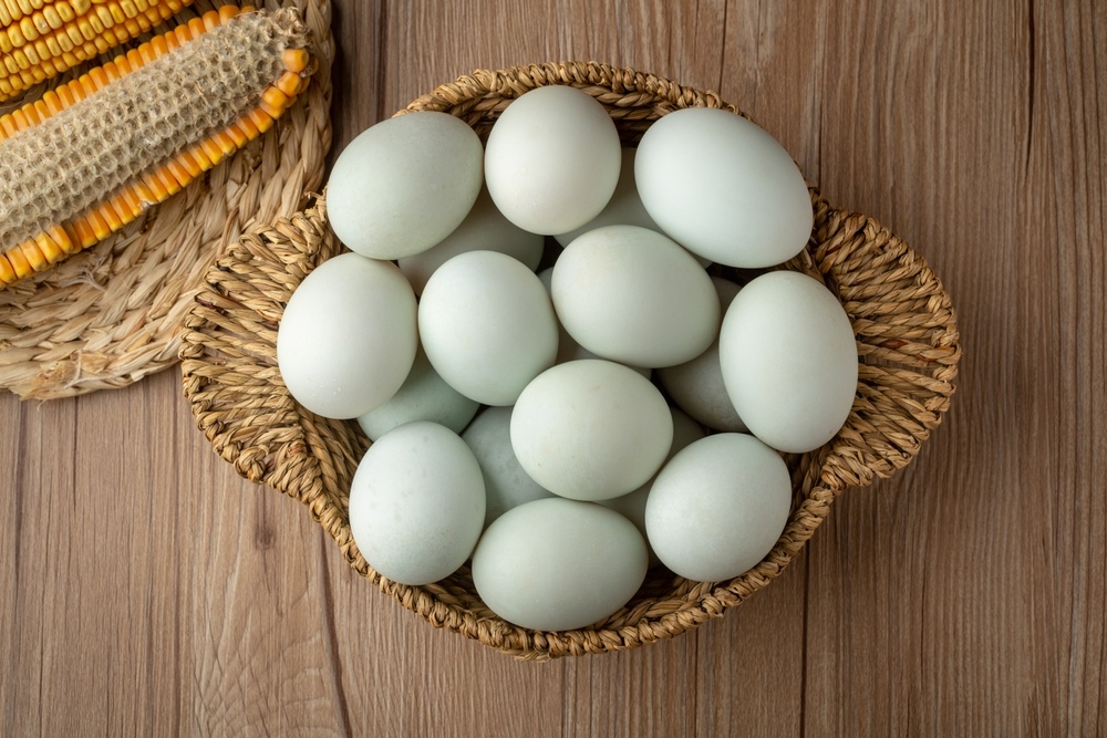 cách làm trứng bắc thảo và chuẩn bị nguyên liệu